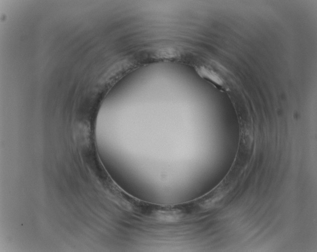 X0000062840556200601272019