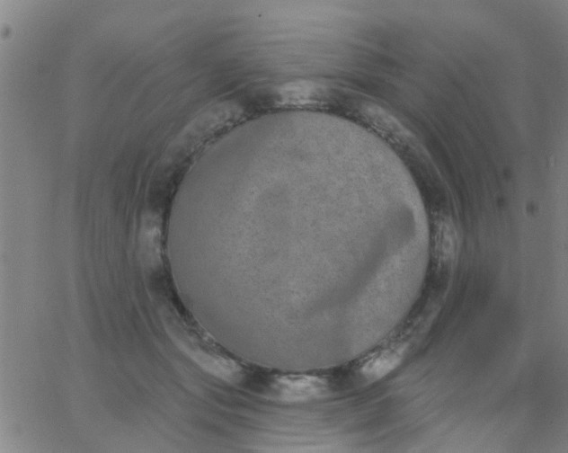 X0000062840557200601272019