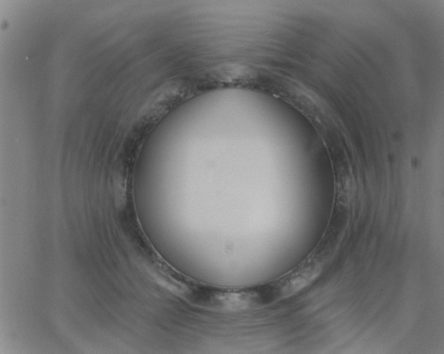 X0000062840558200601272019