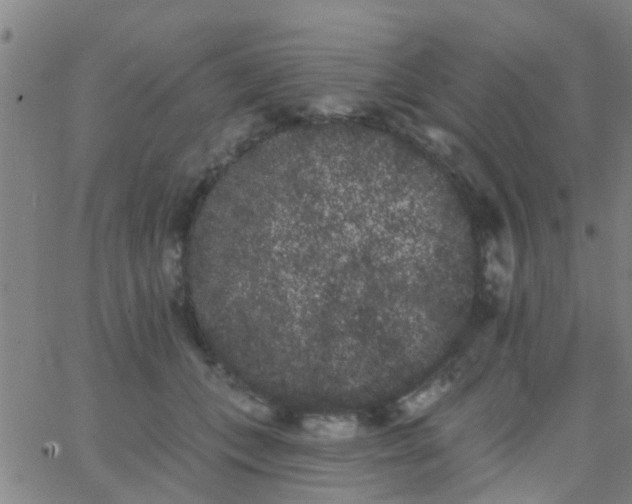 X0000062840559200601272019