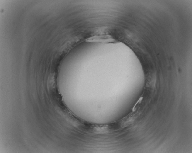 X0000062840560200601272019