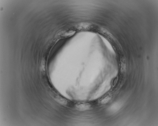 X0000062840561200601272019