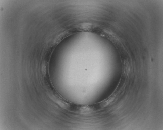 X0000062840562200601272019