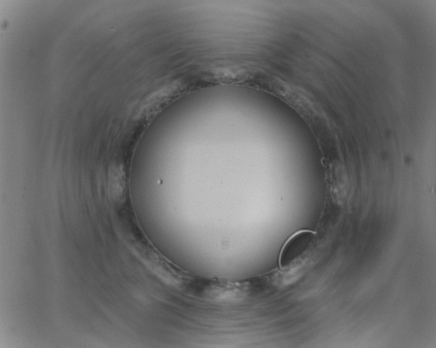 X0000062840563200601272019