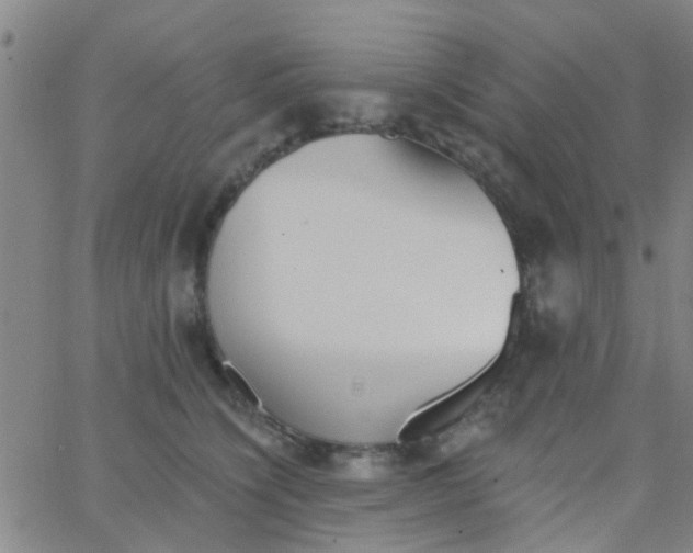 X0000062840564200601272019