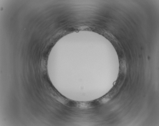 X0000062840565200601272019