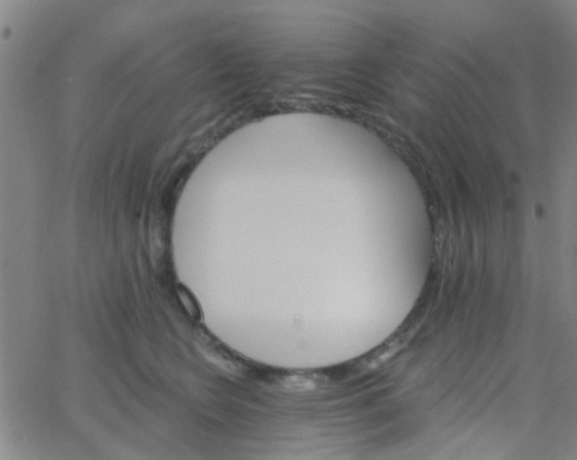 X0000062840566200601272019