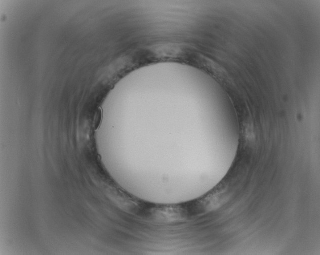 X0000062840567200601272019