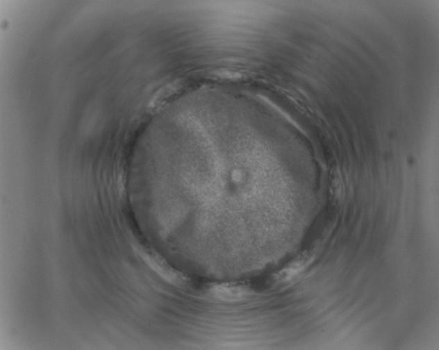 X0000062840568200601272019