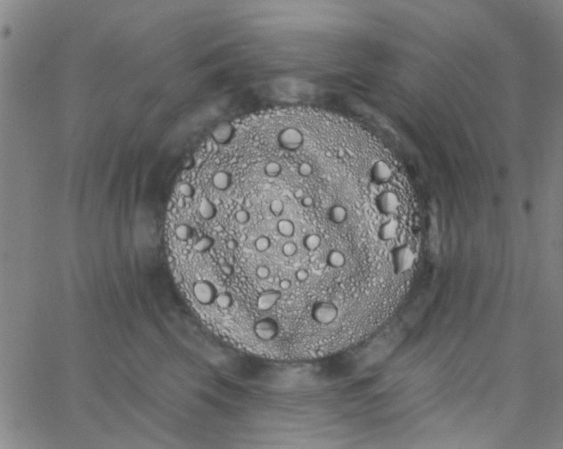 X0000062840569200601272019