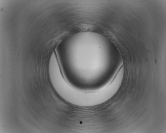 X0000062840570200601272019