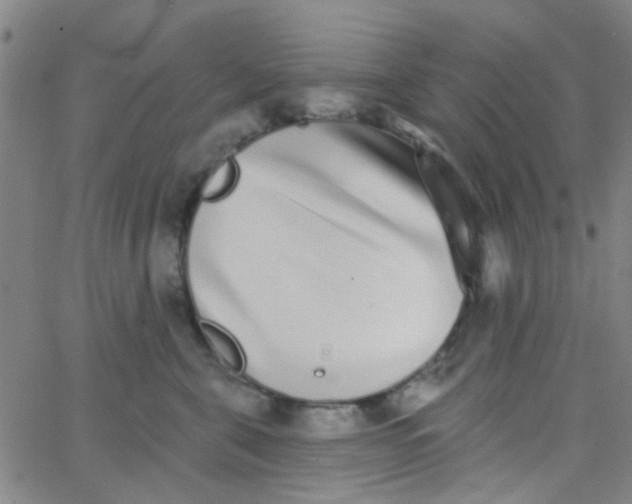 X0000062840571200601272019