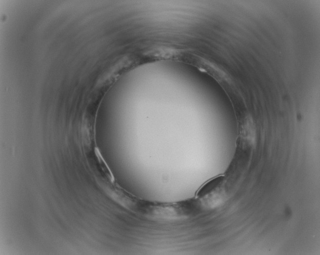 X0000062840572200601272019