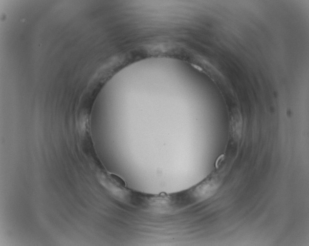 X0000062840574200601272019