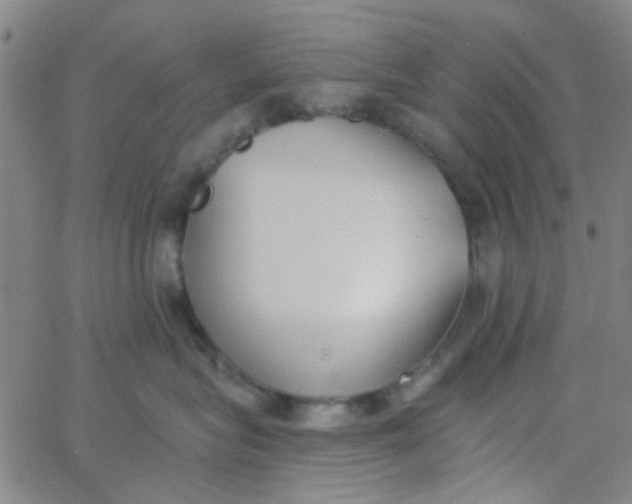 X0000062840575200601272019