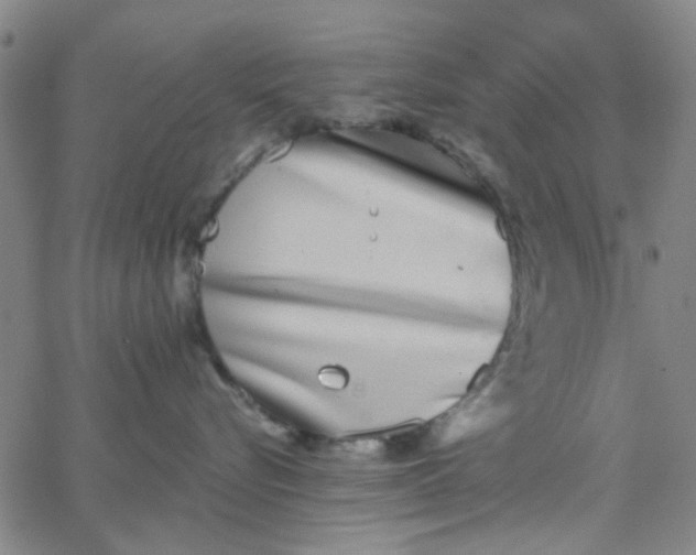 X0000062840576200601272019