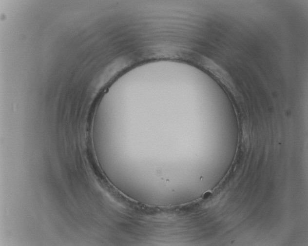 X0000062840578200601272018