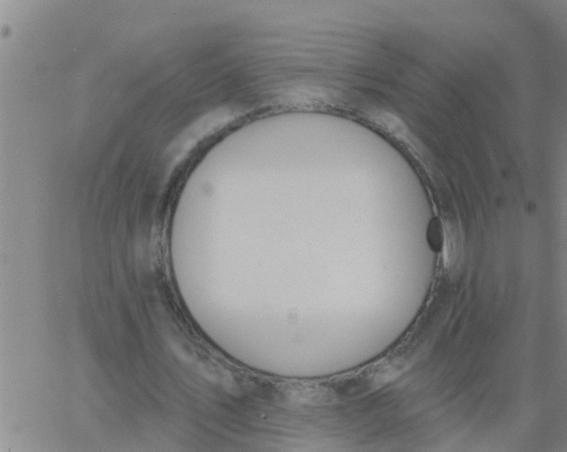 X0000062840579200601272018