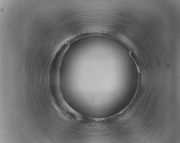 X0000062840580200601272018