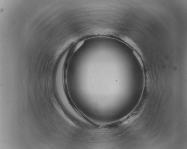 X0000062840581200601272018