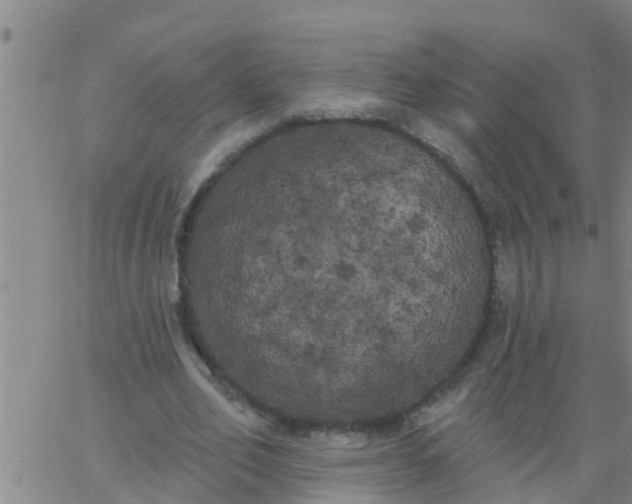 X0000062840582200601272018