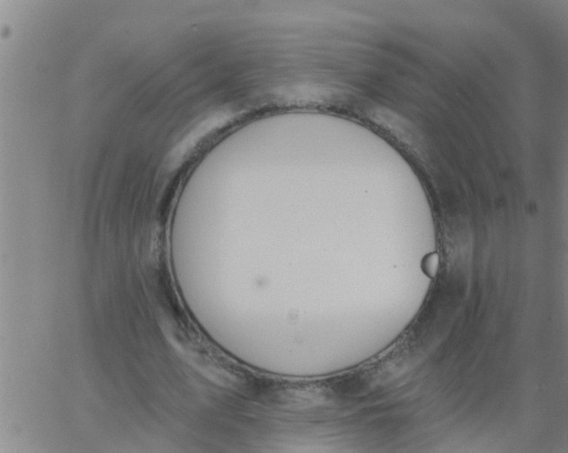 X0000062840583200601272018