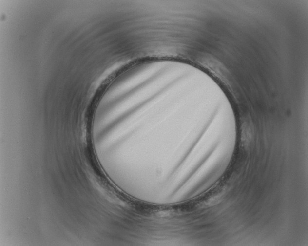 X0000062840584200601272018