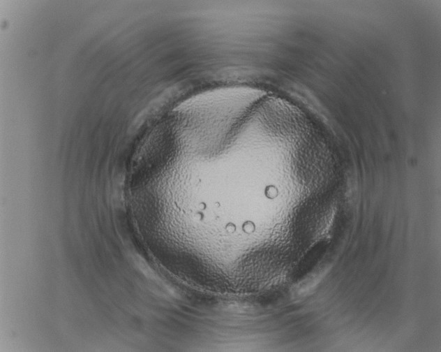 X0000062840585200601272018