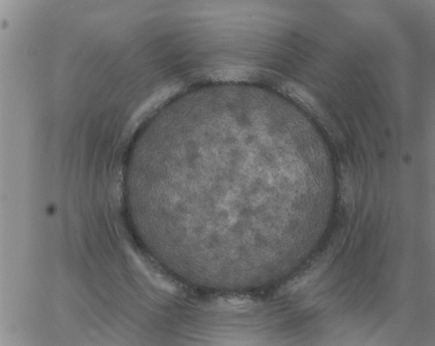 X0000062840586200601272018