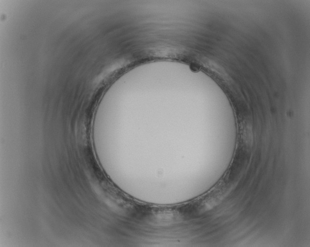 X0000062840587200601272018