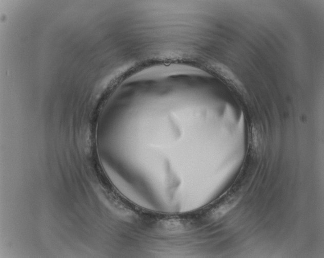 X0000062840588200601272018