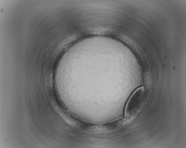 X0000062840589200601272018