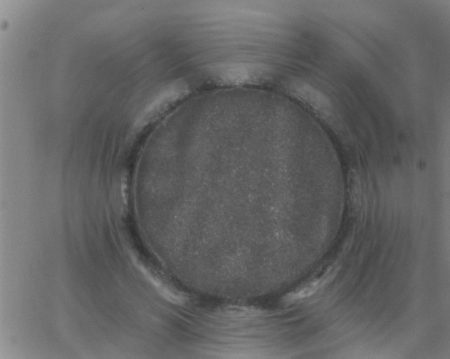 X0000062840590200601272018