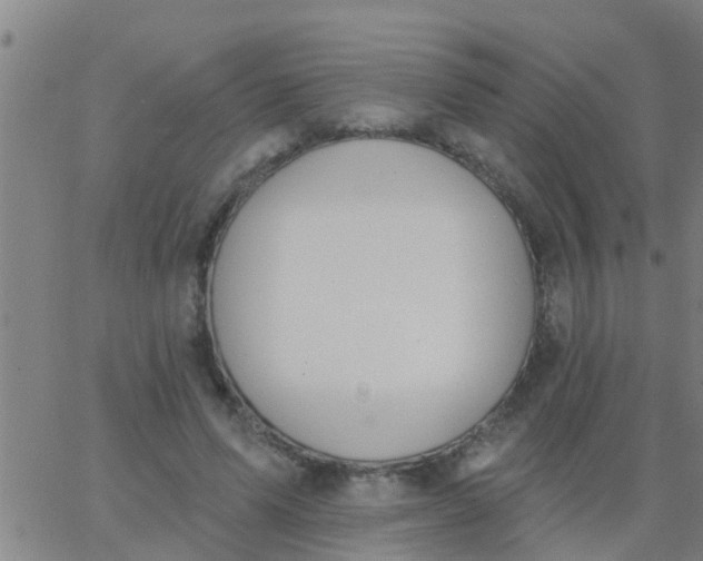 X0000062840591200601272018