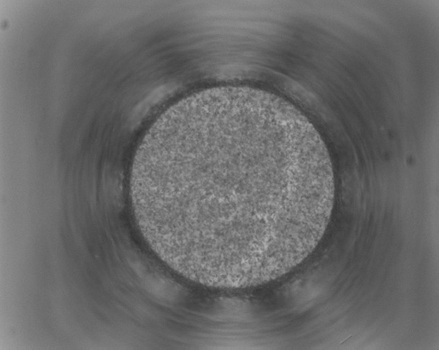 X0000062840592200601272018