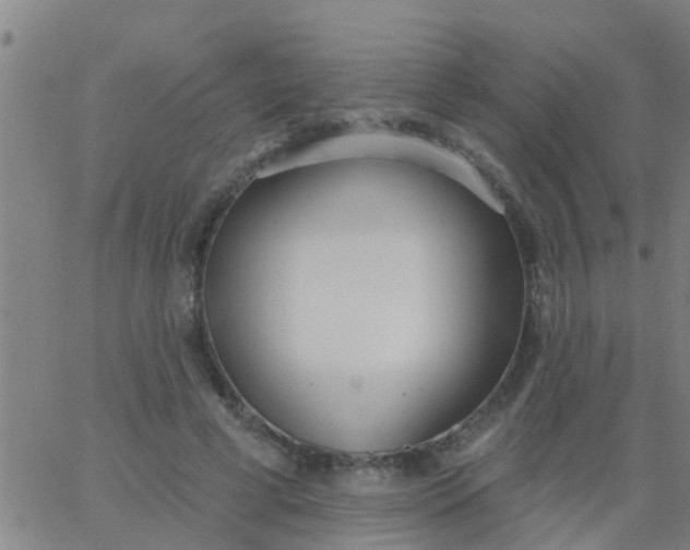 X0000062840593200601272018