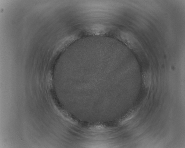 X0000062840594200601272018