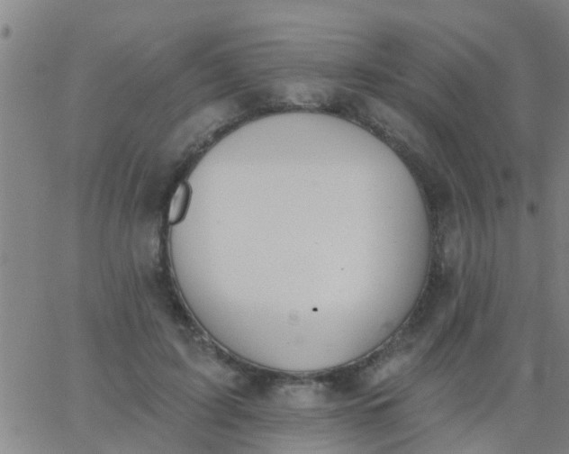 X0000062840595200601272018