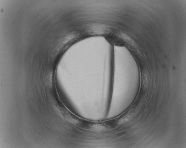 X0000062840596200601272018