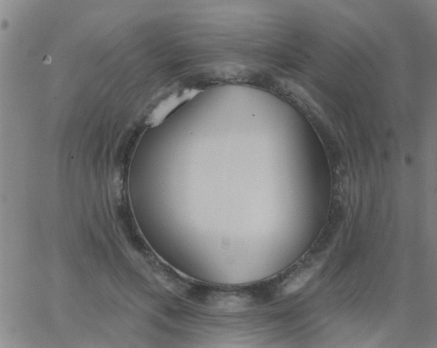 X0000062840597200601272018