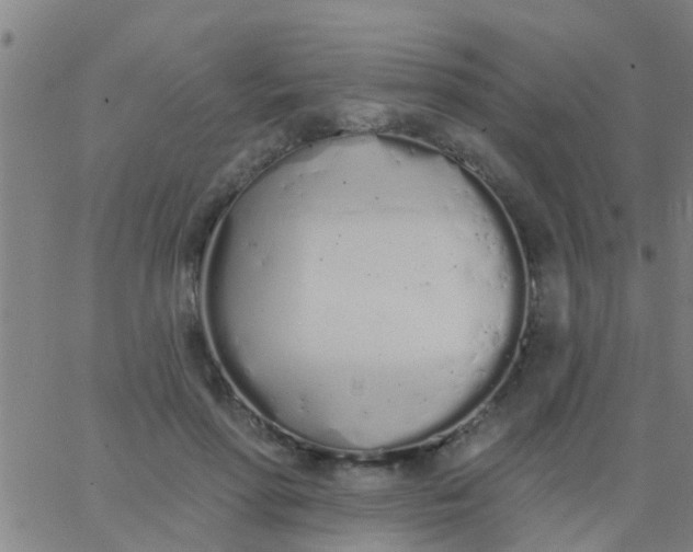 X0000062840598200601272018