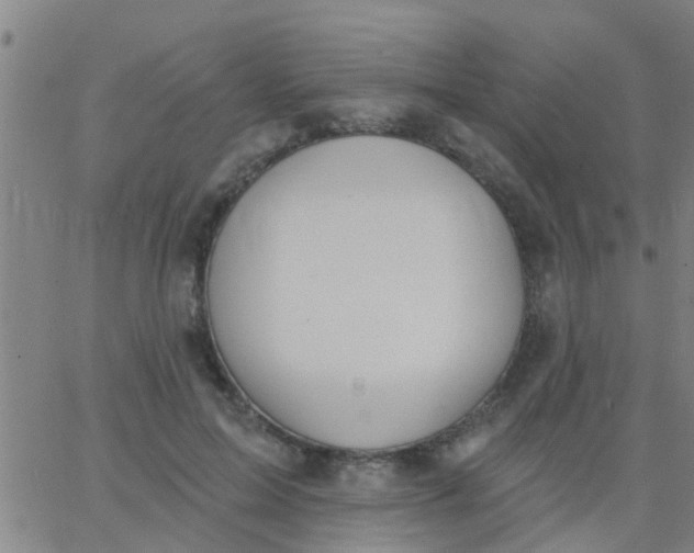 X0000062840599200601272018