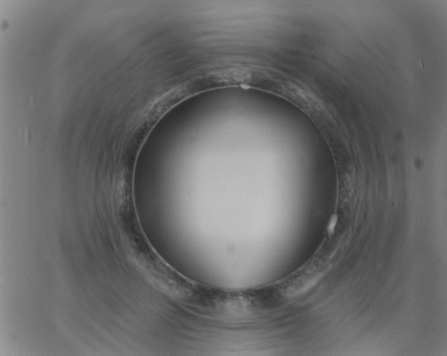 X0000062840600200601272018