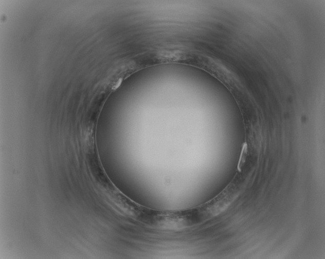 X0000062840601200601272018