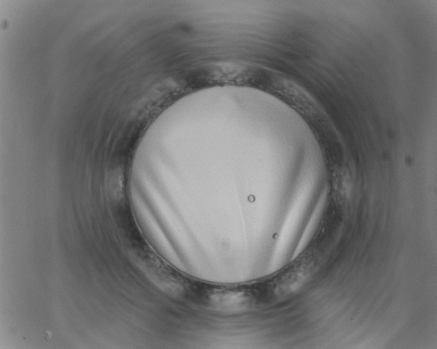 X0000062840602200601272018