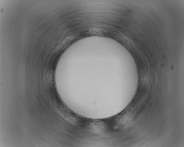 X0000062840603200601272018