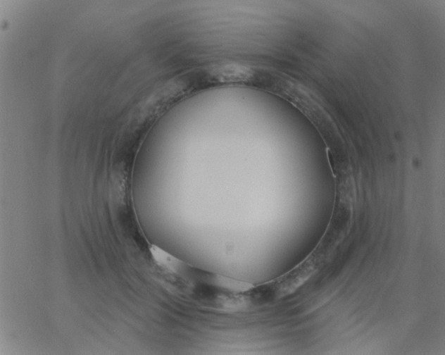 X0000062840604200601272018