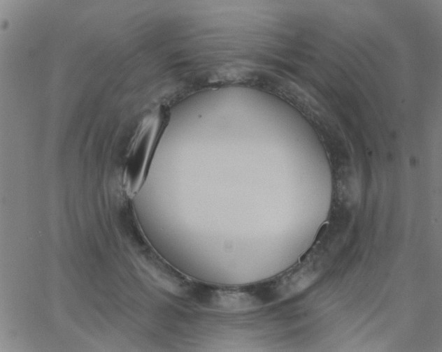 X0000062840605200601272018