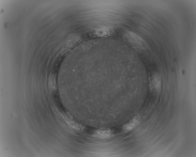 X0000062840606200601272018