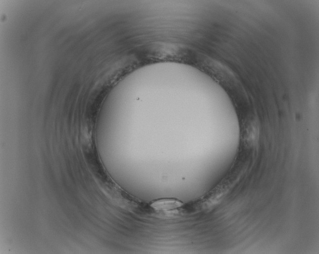 X0000062840607200601272018